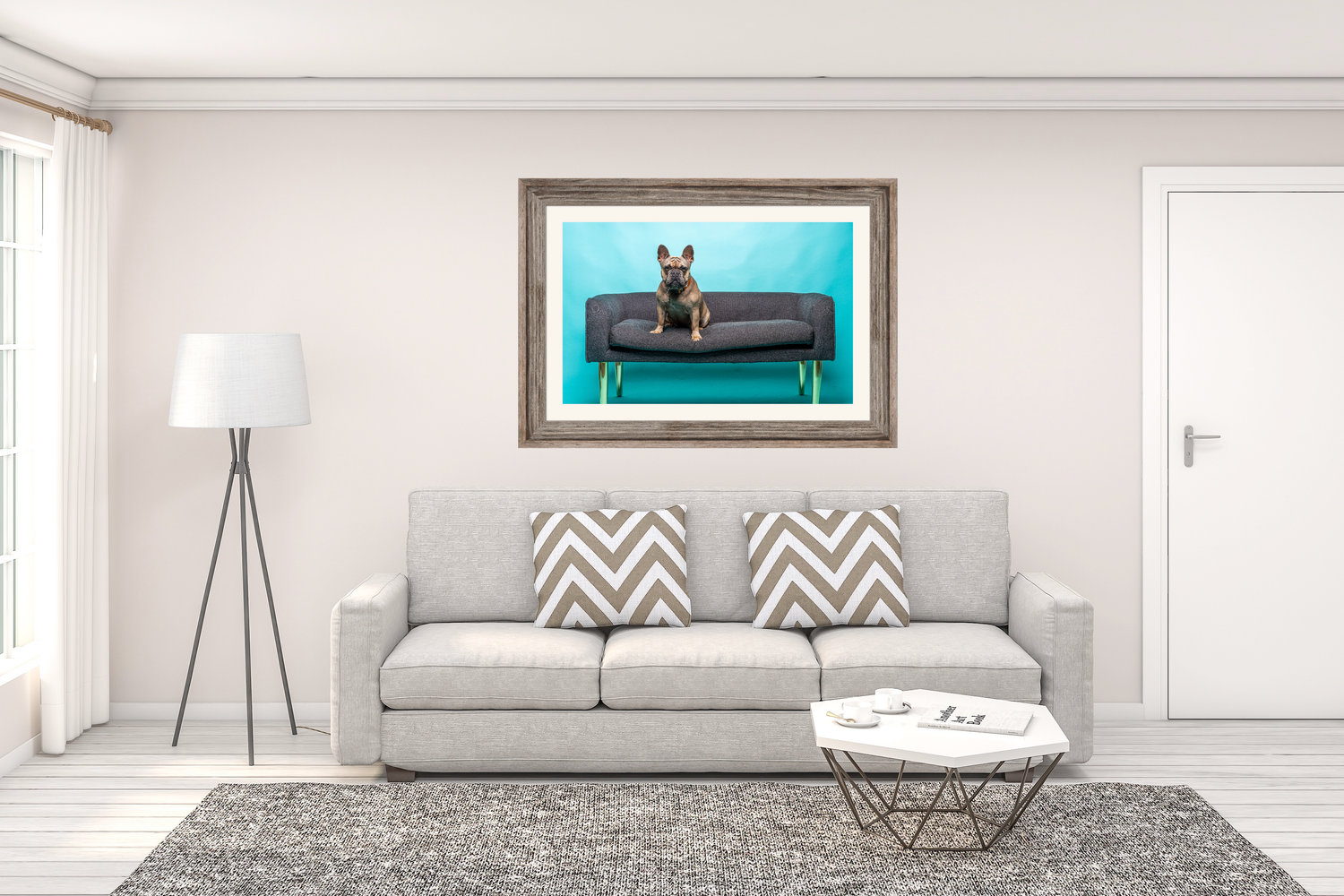 Living room with a gray sofa, decorative pillows, and a framed picture of a dog on a trampoline. Cayman Islands framing and printing.